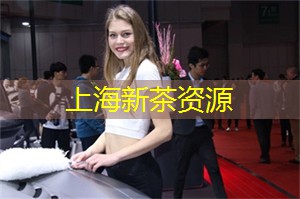 上海娱乐网：流行文化与上海的艺术家合作